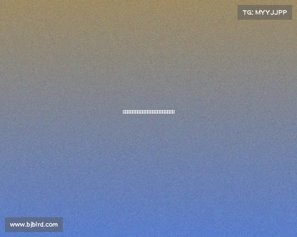 阿尔特塔谈回归皇社与接手阿森纳后的文化变革