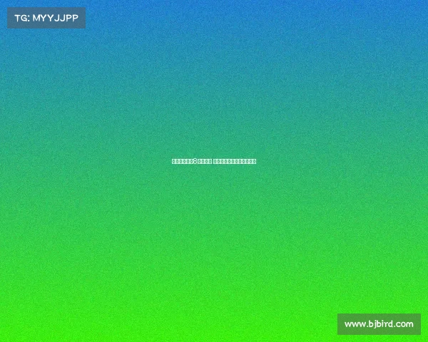 齐沃：目标非8月杯胜利 专注为联赛积蓄力量与发展