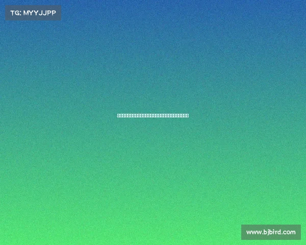 足球俱乐部引援策略分析如何通过精准引援提升球队整体竞争力