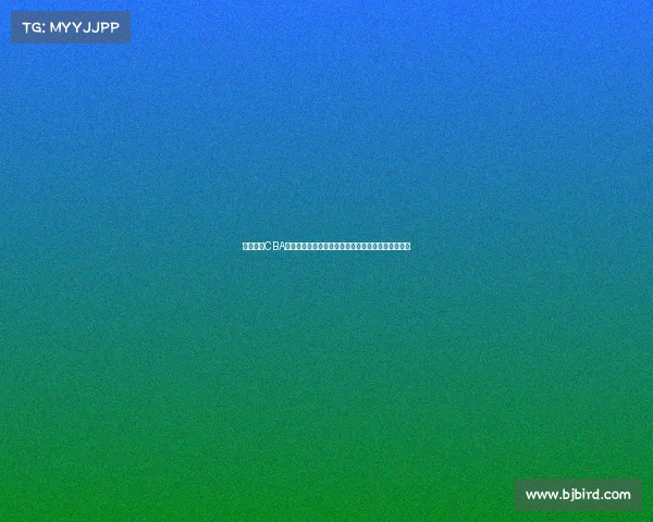 激情澎湃CBA现场观赛体验畅游感受篮球魅力热血沸腾的赛场盛宴 激情澎湃CBA现场观赛体验畅游感受篮球魅力热血沸腾的赛场盛宴