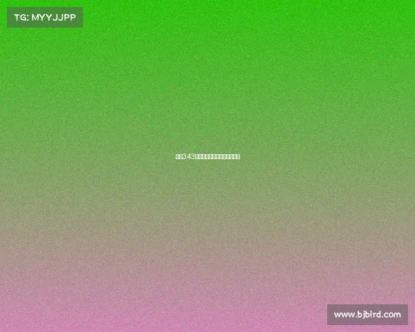 西甲343阵型创新应用与战术分析解析