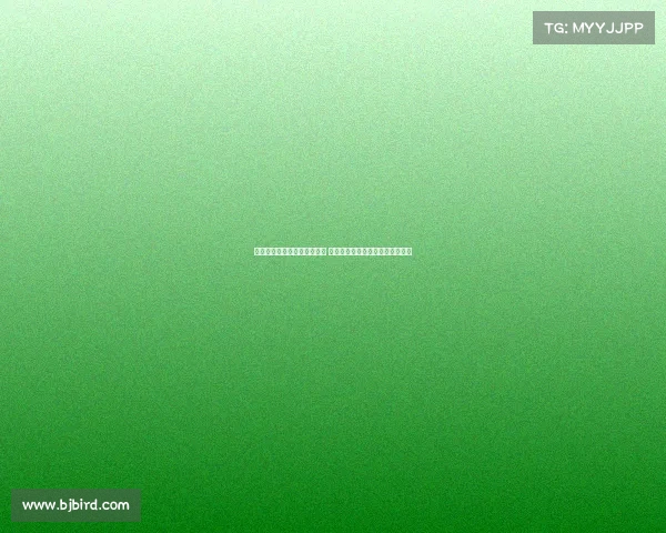 五大联赛夏季新赛季精彩开局 各队阵容变化与首轮对决全面分析